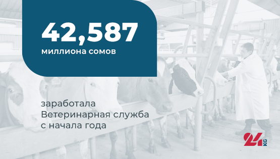 Цифра дня.&nbsp;42,587 миллиона сомов заработала Ветеринарная служба с&nbsp;начала года 