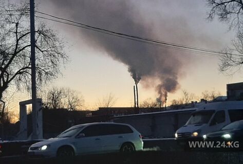 Горожане пожаловались на&nbsp;дым в&nbsp;районе проспекта Чингиза Айтматова 