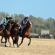 Фото ГАМФКиС. Турнир по кок-бору на III Всемирных играх кочевников